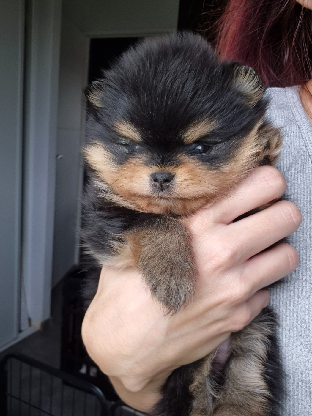 Les bébés de Bella