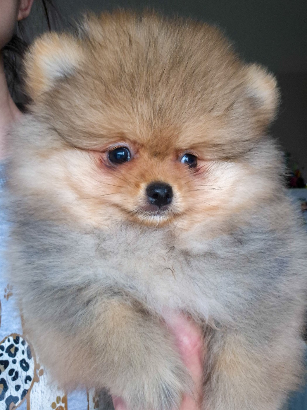 Alie cherche sa famille